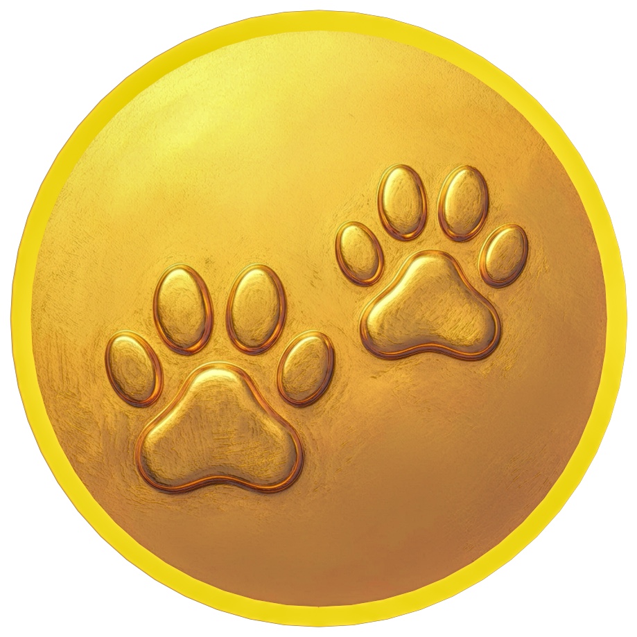 guess.mainecoon