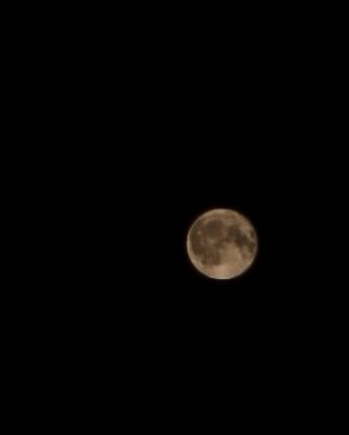 yanchikk101 в LOOKY. #луна,#полнаялуна,#полнолуние,#photocanon,#lightroommobile,#фотография,#moon,#moonlight. Который день луна по...