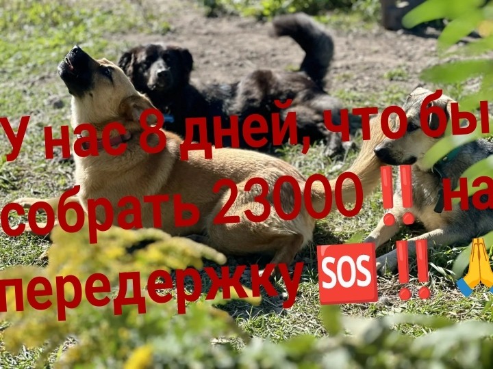  в LOOKY — публикация