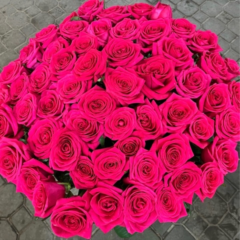 nikolai_flowers в LOOKY. #шахтыцветы,#шахтырозы,#цветышахты,#розышахты,#цветывшахтах,#дгтушахты,#блокнотшахты,#шахтыгород,#городшахты,#shakhty,#shachty,#shahty. Розы на любой вкус 
...