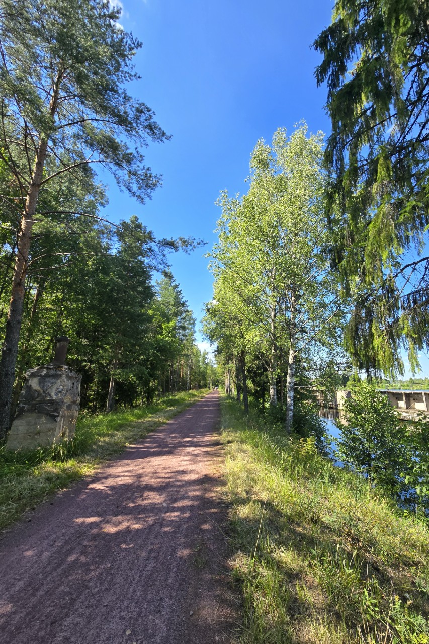 Велосипедное приключение это:
✴️ парковка в Яхроме (место старта) очень маленькая и приезжая на авто нужно быть готовым к отсутствию мест и поиску их поблизости, благо есть)
✴️ красивая трасса😍, но это практически автономка (санитарные зоны на маршруте только на 7м и 20м км (в кустики...такое себе: много ужей и змей, даже под колеса пытались попасть), веломастерская только в Яхроме (на старте) и в Дмитрове (через 7км));
✴️ с собой нужно иметь обязательно ремкомлект,  запасную камеру и насос;
✴️ с собой обязательно достаточное количество еды, единственное кафе в районе 18км, магазинов нет (у меня с собой был малиновый сыр (со вскусом просеко, по прибытию домой превратился в настоящее🍾 😁, бананы, углеводные гели, из питья б/а мохито в разных исполнениях 1,5 литра, но на жаркую погоду маловато);
✴️ мир полон добрых людей: проезжавшие мимо ребята пытались помочь мне с ремонтом колеса, а добрые люди проводили до ж/д станции🫶)

Вобщем - день удался🎉