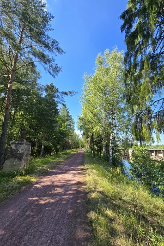 elena_bordonosova_ip в LOOKY. . Велосипедное приключ...