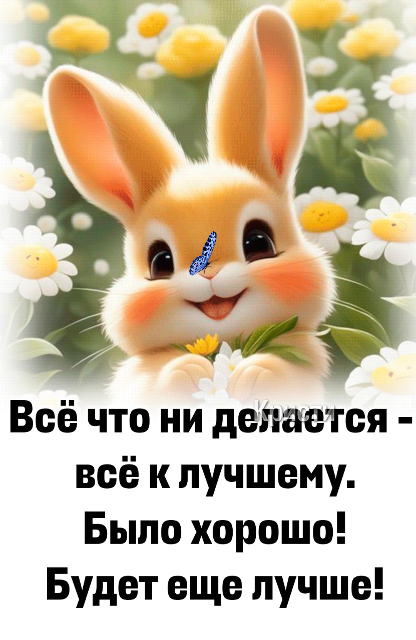 Елена в LOOKY — публикация