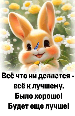 Looky_172392429941354 в LOOKY. . 