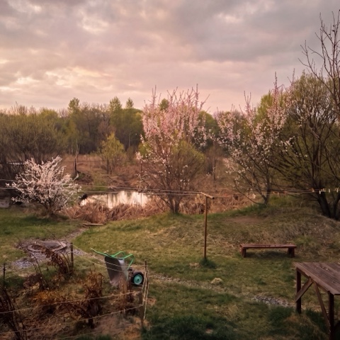 Looky_1703311064466 в LOOKY. . Весна в селе