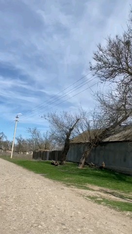 шоха на зоварке in LOOKY. . 