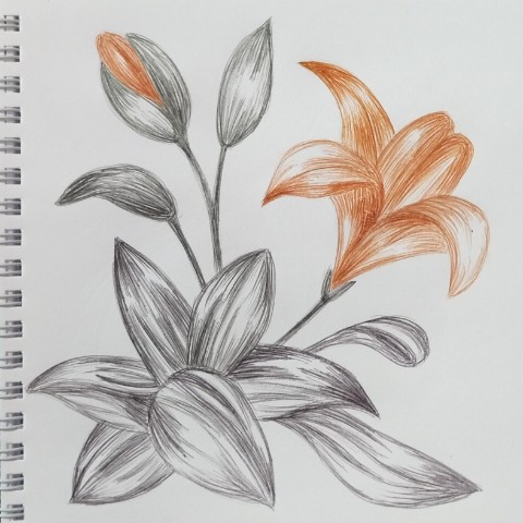 Галина в LOOKY. #рисуночкиручкой,#ярисую,#творчество,#хобби,#художник,#самоучка,#люблю,#рисуюкакмогу. #рисуночкиручкой #яр...