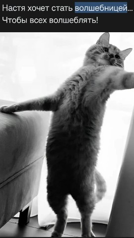 Анастасия в LOOKY. #Мемы#ох,#🤣🤣🤣. #Мемы#ох уж эти Наст...