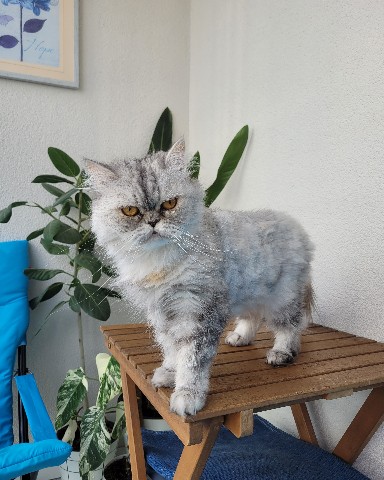 СадикНаОкошке в LOOKY. . Таааак... Почему не ...