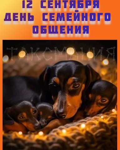 Таксмания в LOOKY. #такса,#таксмания,#позитив,#таксыблогеры,#таксизм,#таксалучшаясобака,#doxie,#такстусовка,#таксятники,#Deckel,#Lookydoxie,#Looky,#LOOKY_топ. Мира, здоровья и про...