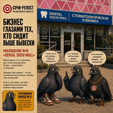 Сочи-Репост в LOOKY. . 🦷 Сегодня голуби за...