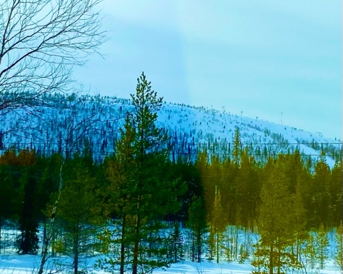 Looky_1702815332856 в LOOKY. . 