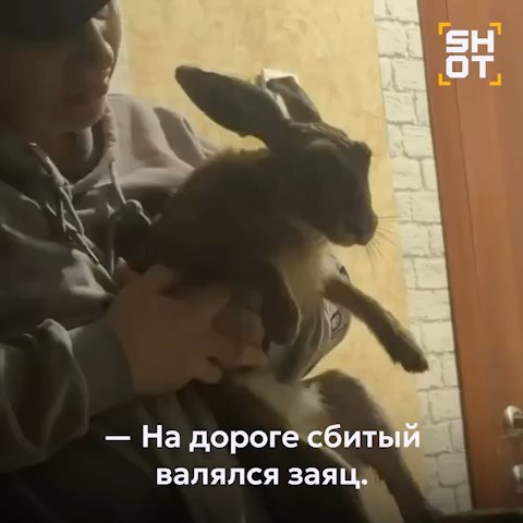 Looky_174538869908368 в LOOKY. . «Прикинь, какой кайф...