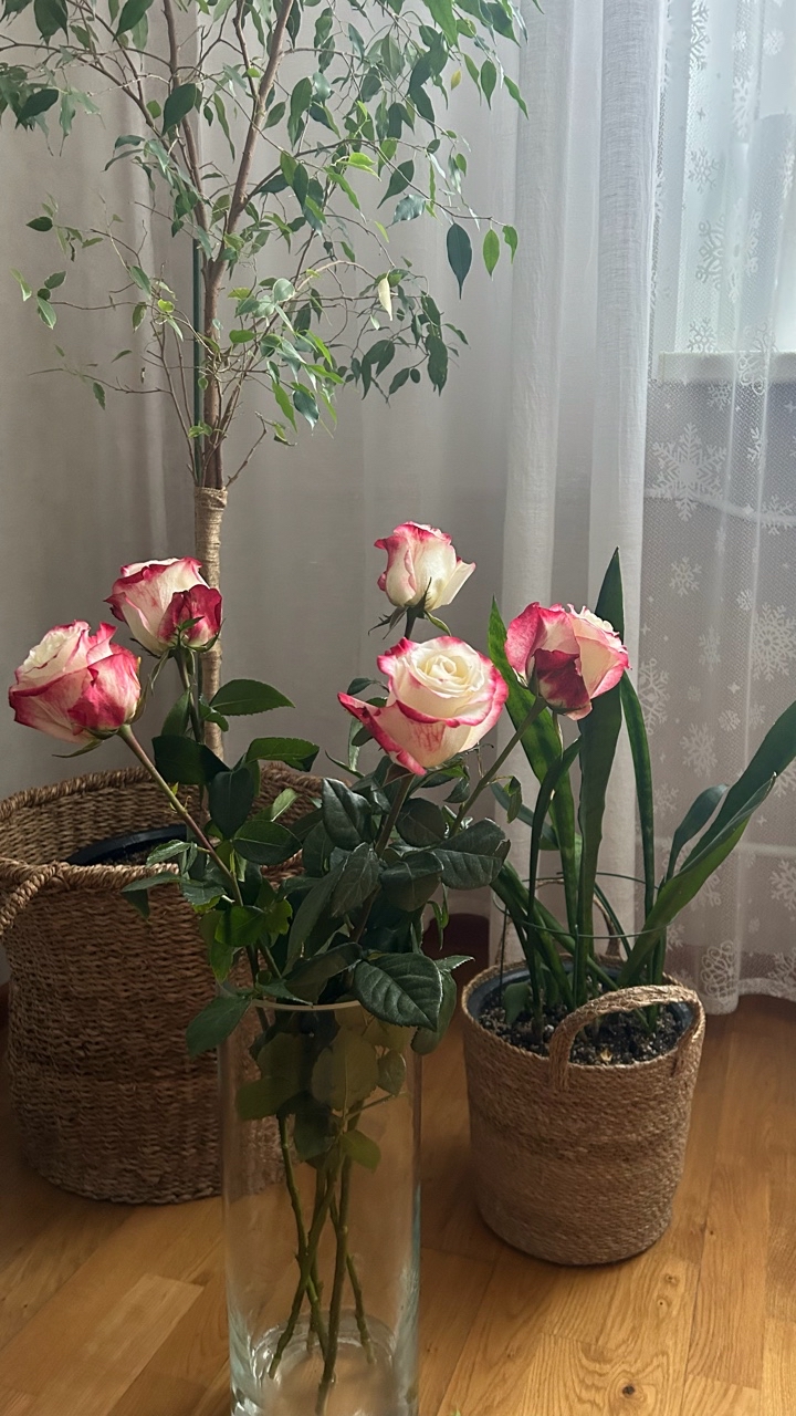 sokolova_.a