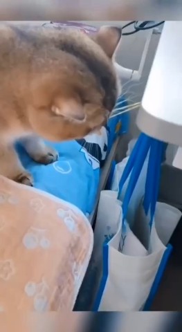 Вячеслав Кузнецов в LOOKY — Доброй ночи 🌙