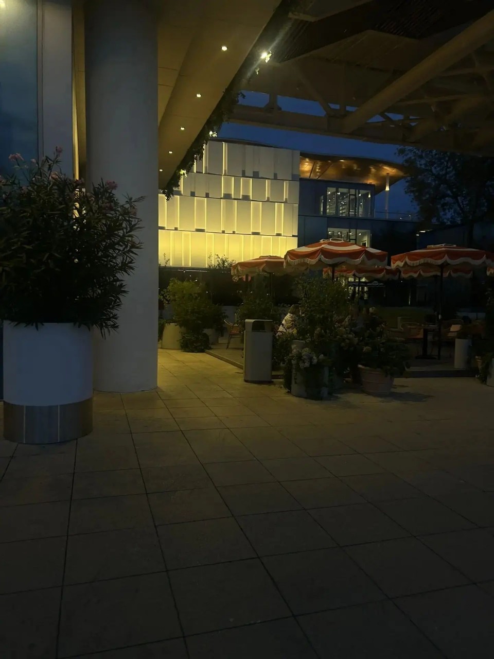 Рассветный Пёс в LOOKY — фото 8