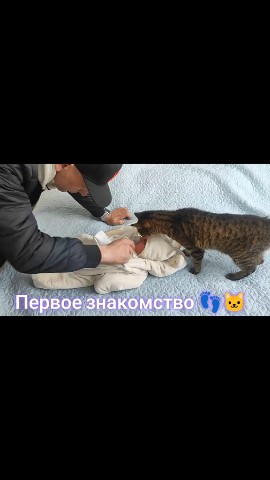 jeka_kam_41rus в LOOKY. . [#первоезнакомство ]...