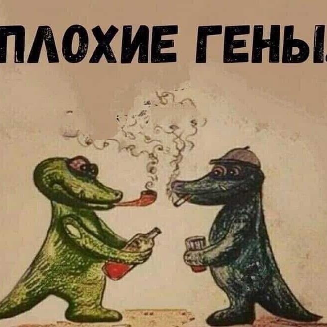 Petroviz в LOOKY — публикация