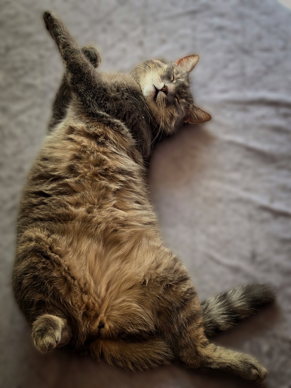 igorevna_._ в LOOKY — Сыночка 🐱