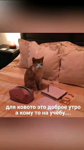 Федорова Александра