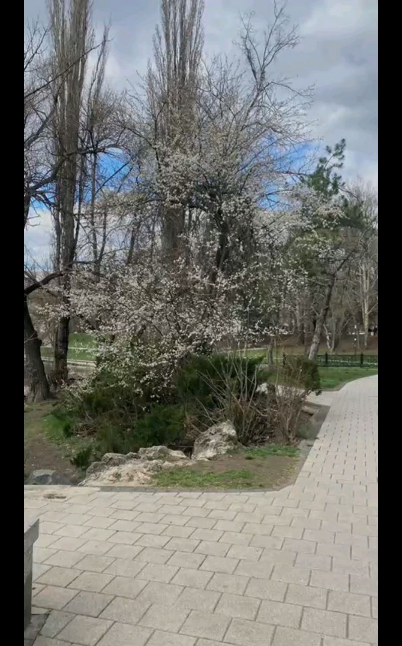 grin.nata в LOOKY. . Пока проходила 10 ты...