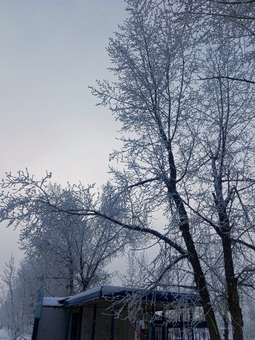 nikmam03 в LOOKY. #зима,#мороз,#новый. 🎄🎉 До Нового года ...