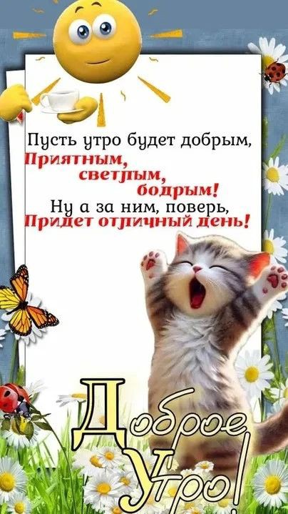 Сириус в LOOKY — публикация