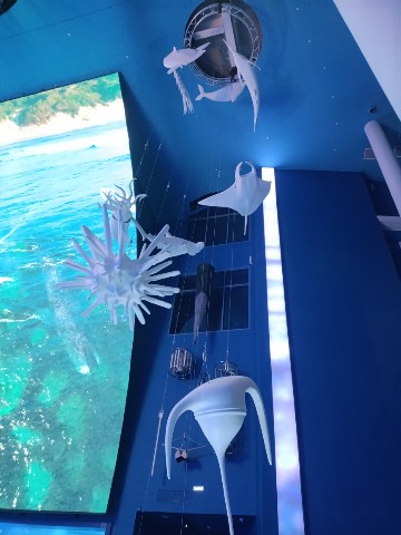 Looky_1692089603834 в LOOKY. . 