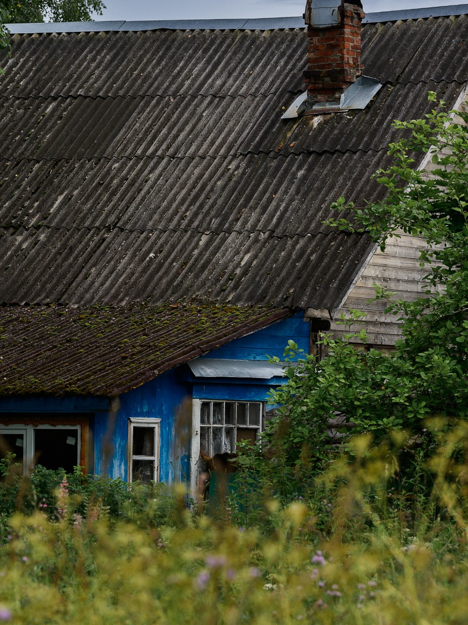 poboruev_landscape in LOOKY