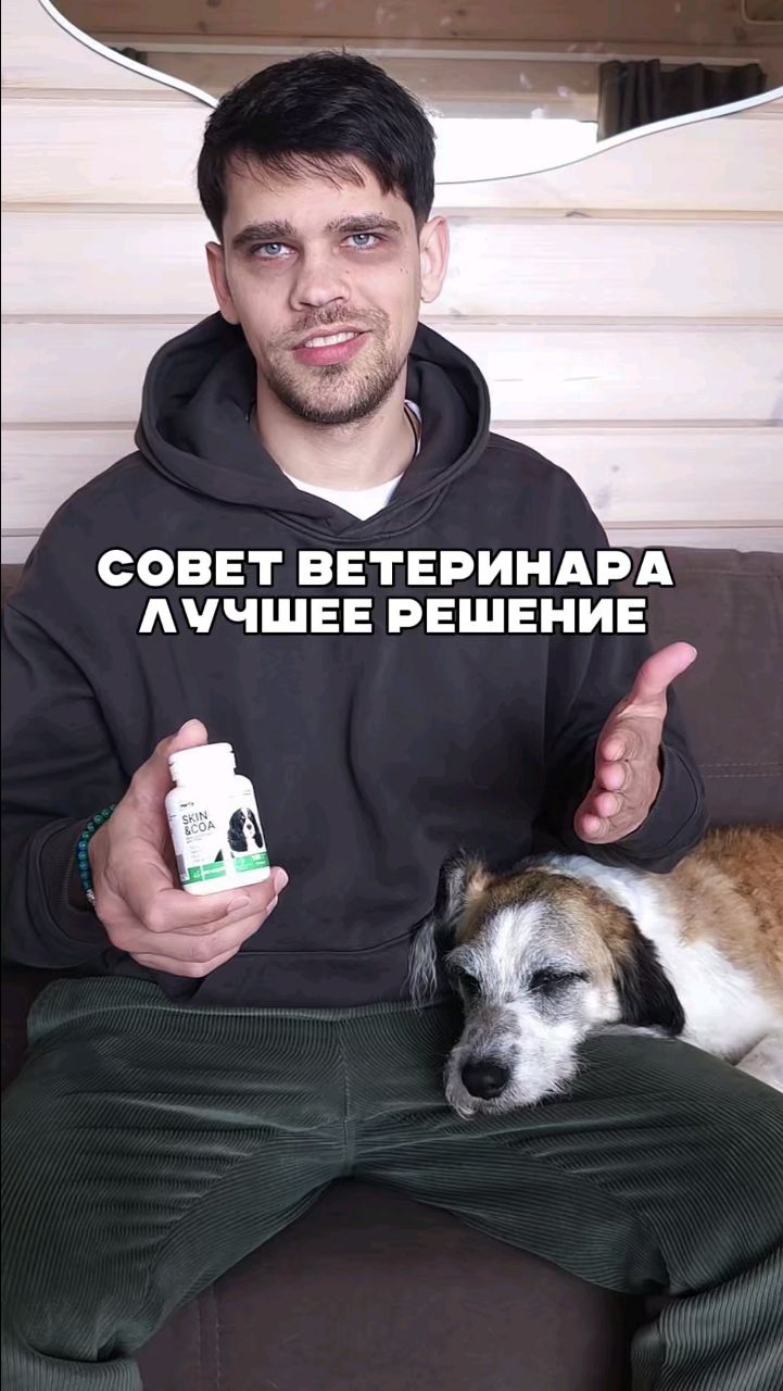 Harly_Miami в LOOKY. #harly,#собака. Совет Ветеринара 👍 ...