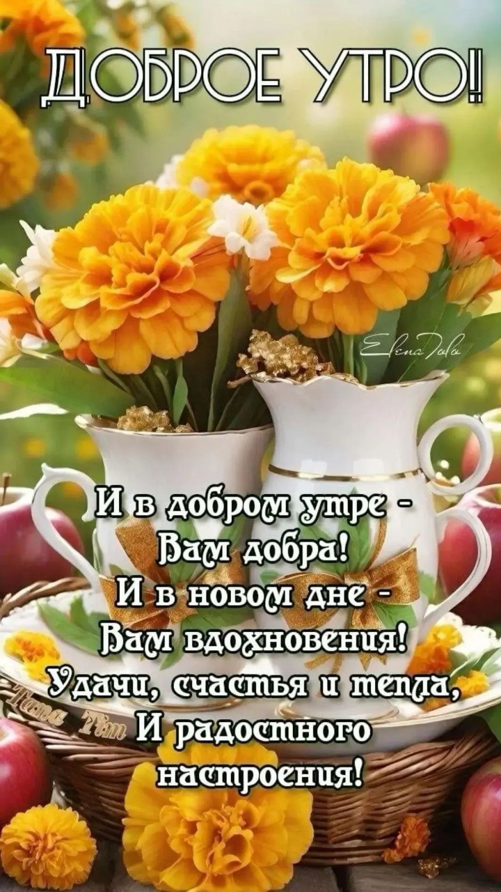  в LOOKY — публикация
