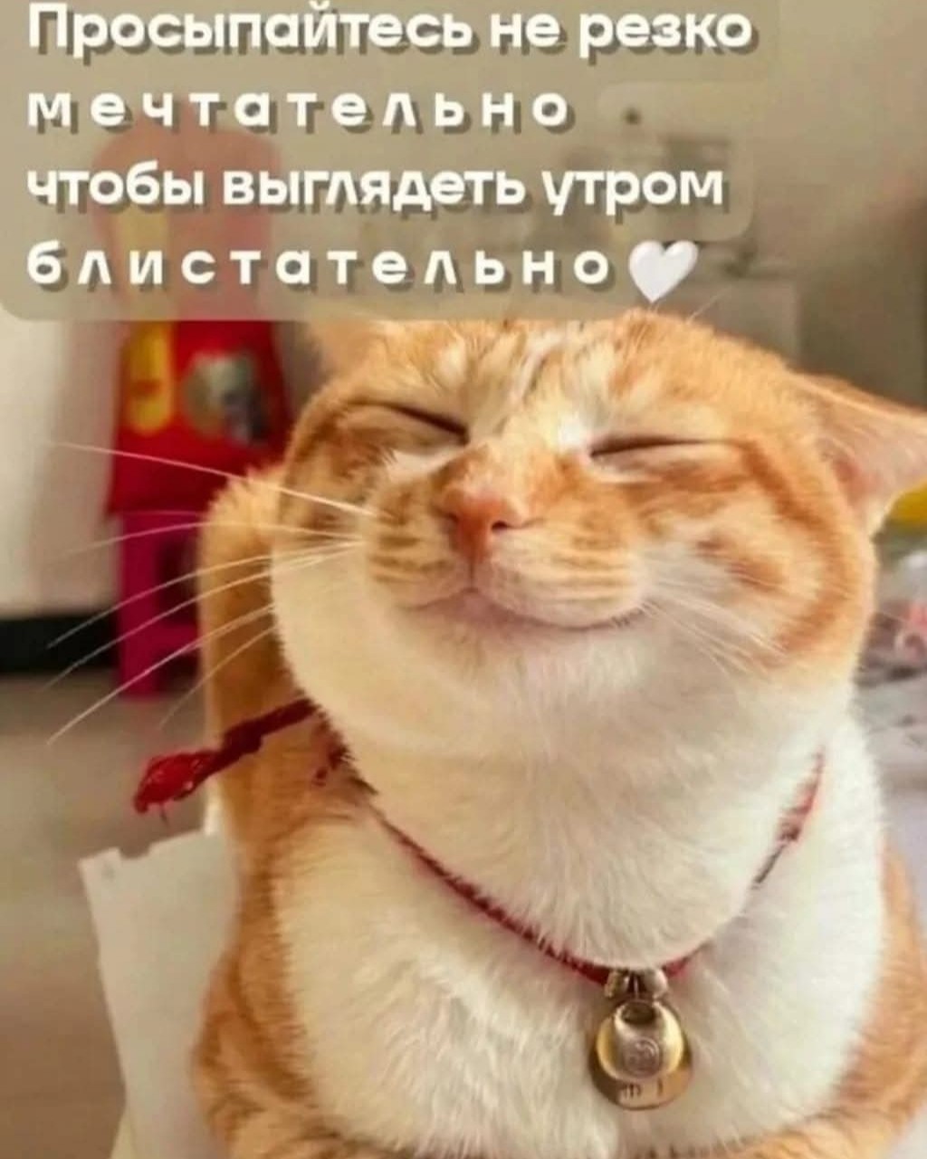  в LOOKY — публикация