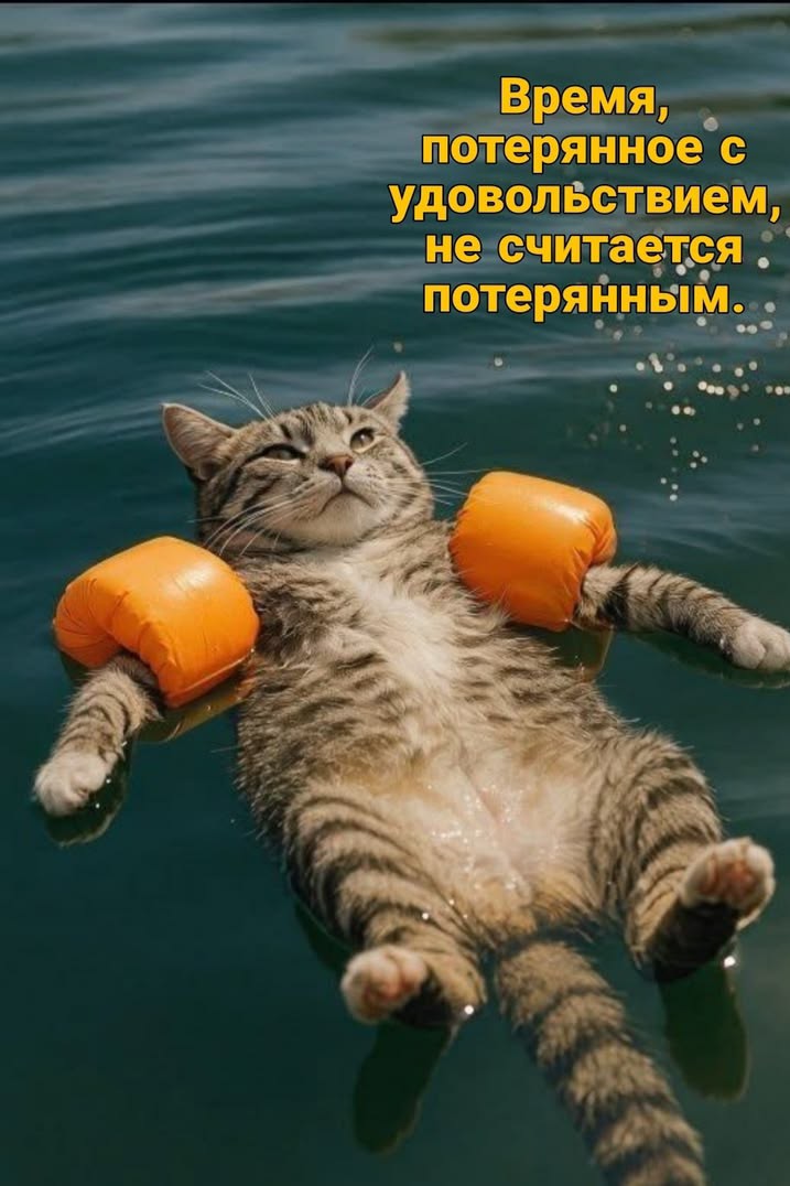 Светлана в LOOKY — публикация