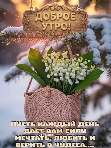 Таша Светлая в LOOKY. #прогнозна25марта,#мудростьдня,#аффирмациядня,#советынадень,#физическаяактивность,#здоровьесоветы,#диетаразгрузка,#сныиихзначение,#бизнессоветы,#отношенияпрощение,#покупкиантиквариат,#садоводствосоветы,#настроениесоветы,#зарядканадень. 📅Цифры говорят
🌠Зв...