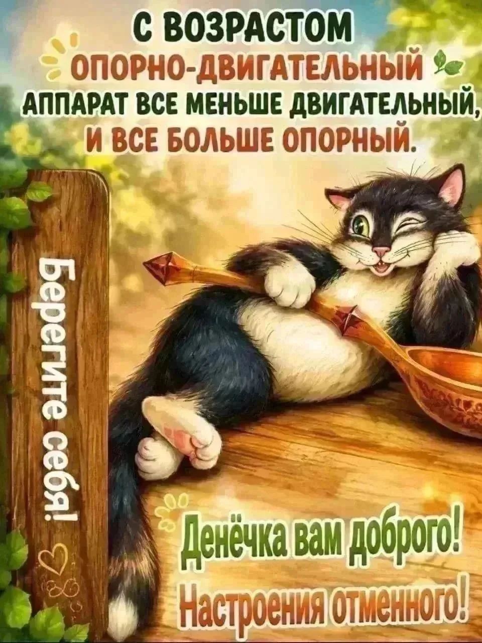  в LOOKY — публикация