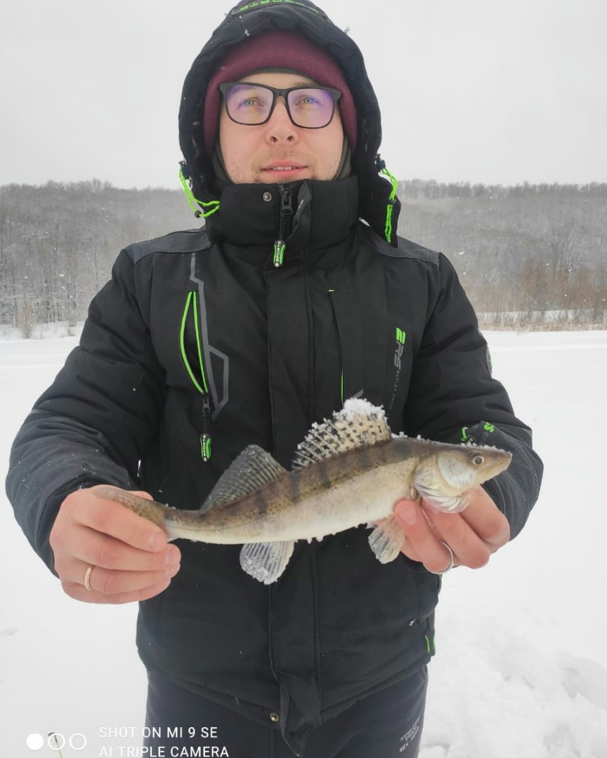 🐟зимний судак! Весна потихоньку радует рыбкой) 
