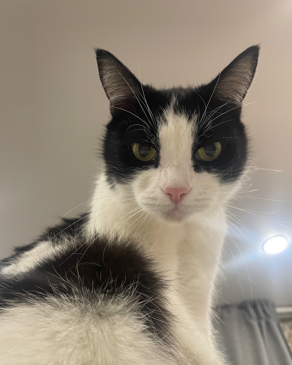 Dasha Roks в LOOKY — фото 2