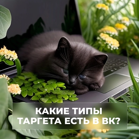 platonova.online в LOOKY. . Реклама в VK являетс...