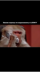 LOOKY_official в LOOKY. . Майские никого не ща...