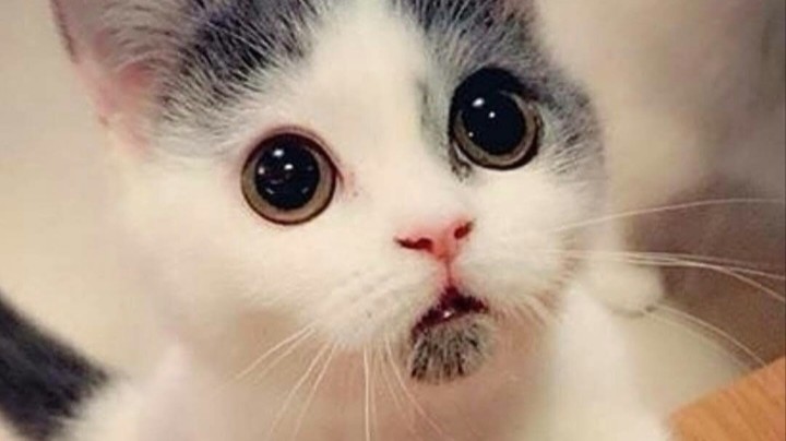 👁️❤️