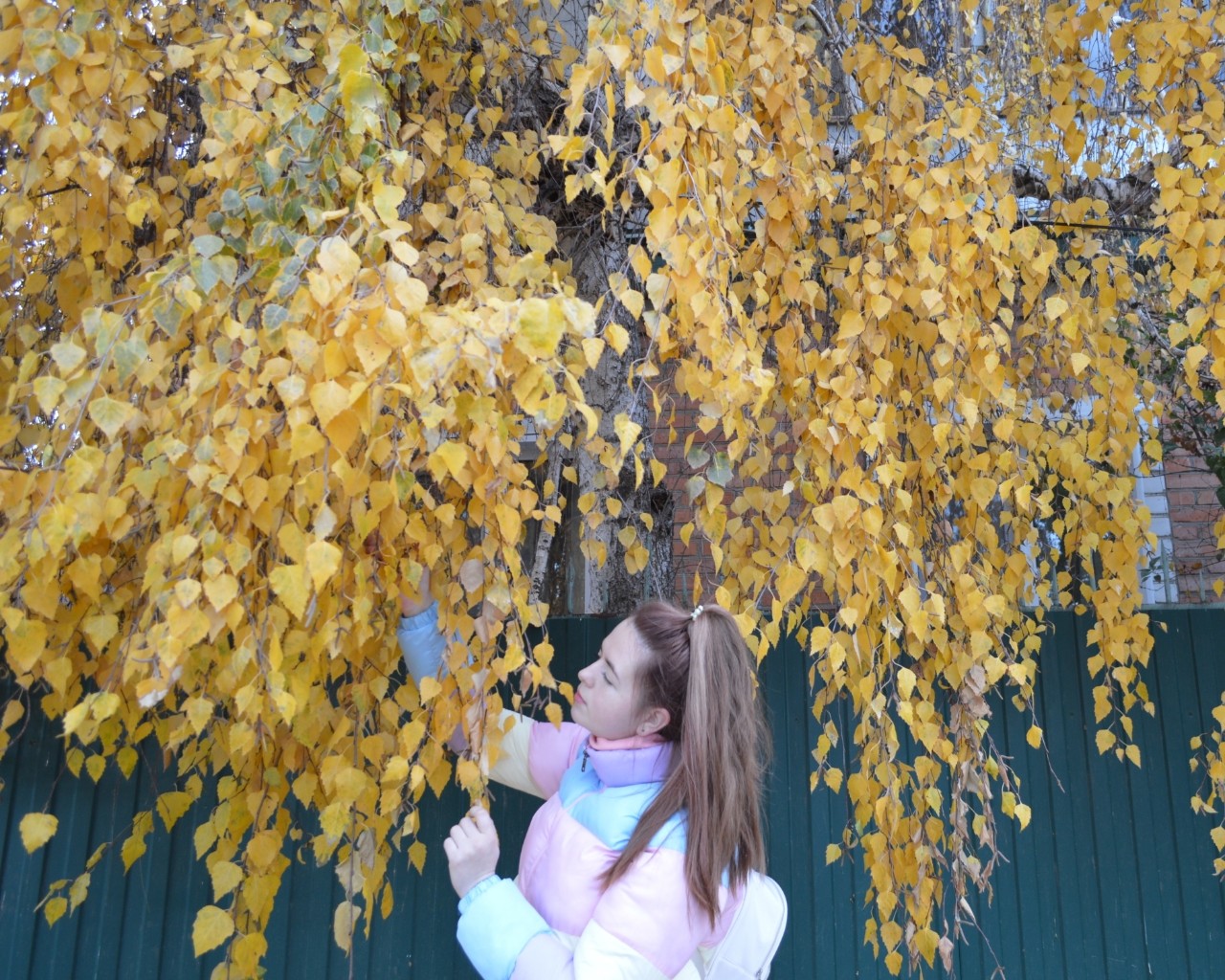Любимое время года, да и к тому же через 3 дня день рождения 🎂