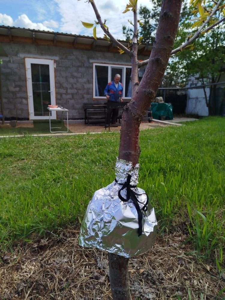 svesaratov в LOOKY — КОСМИЧЕСКИЕ ЮБОЧКИ от тли 😂. Почему космические? - Ассоциац