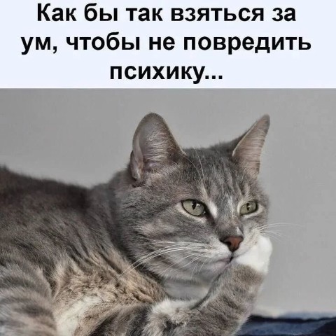 Looky_177011812195512 в LOOKY. . 😹🤣😜