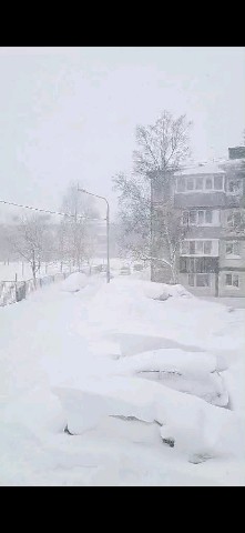 Оксана in LOOKY. . У нас метель 🧐