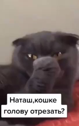 socnyetomaty в LOOKY. . 
