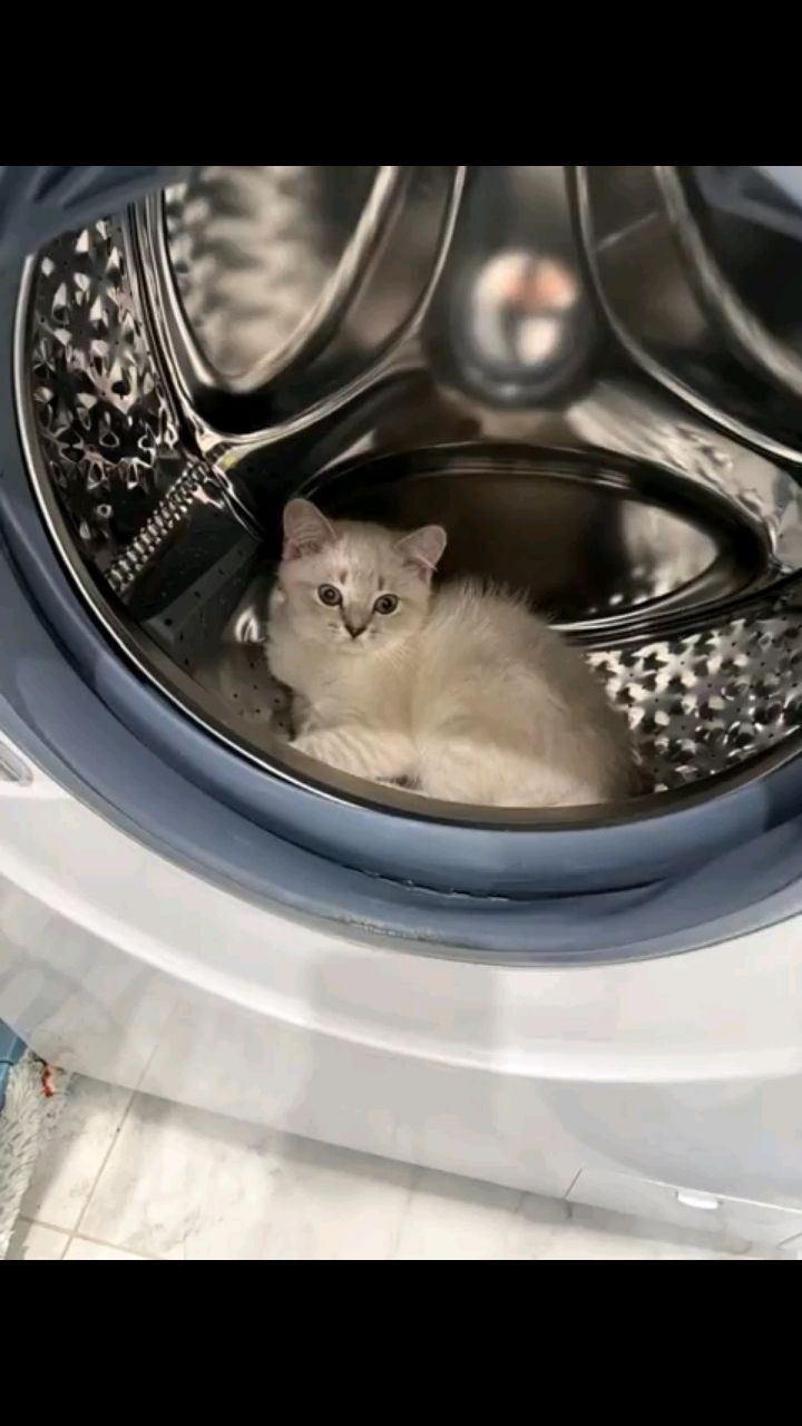 milashka in LOOKY. . Волшебство!