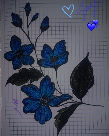 g.lia.12 в LOOKY. . 