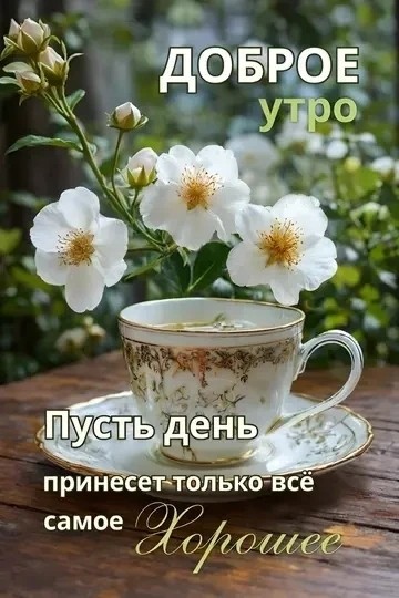 ДедМед в LOOKY — публикация