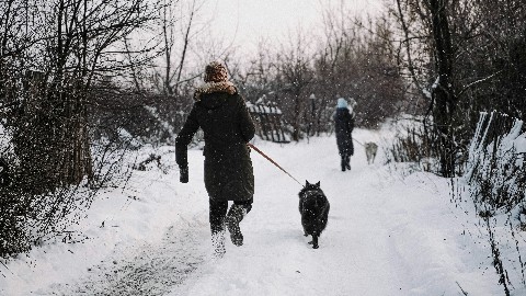 Sizmakhom в LOOKY. #delolooky. Добровольчество - эт...