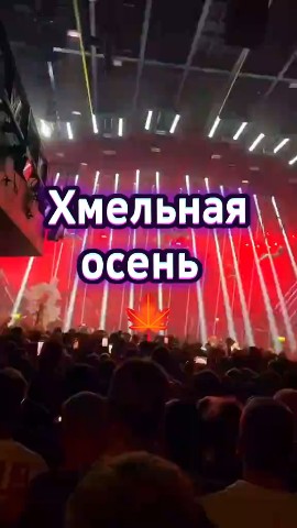 Юлия в LOOKY — публикация